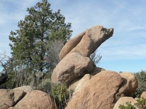 Rock Art